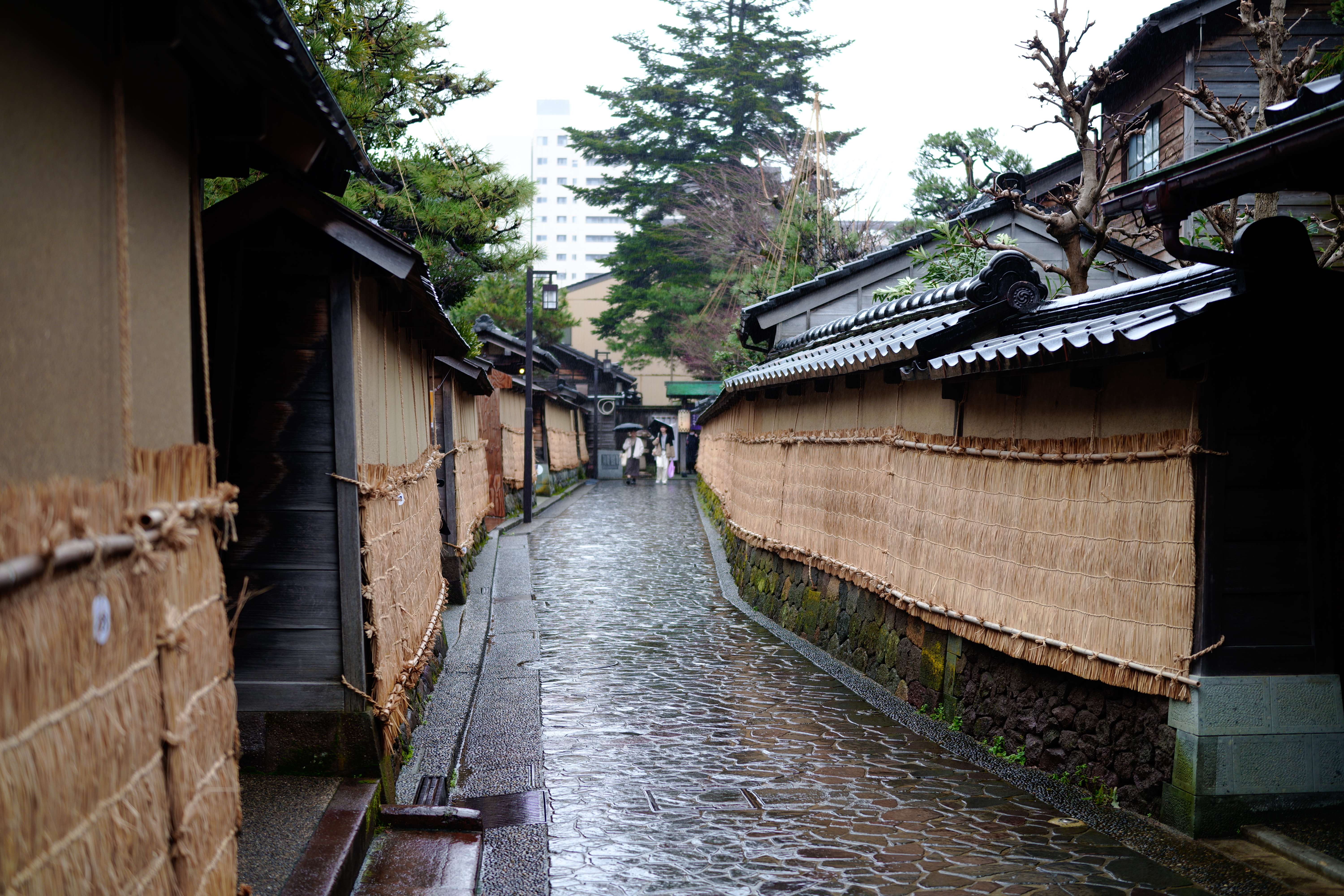 入り組んだ道沿いに武家屋敷の塀が並んでいる